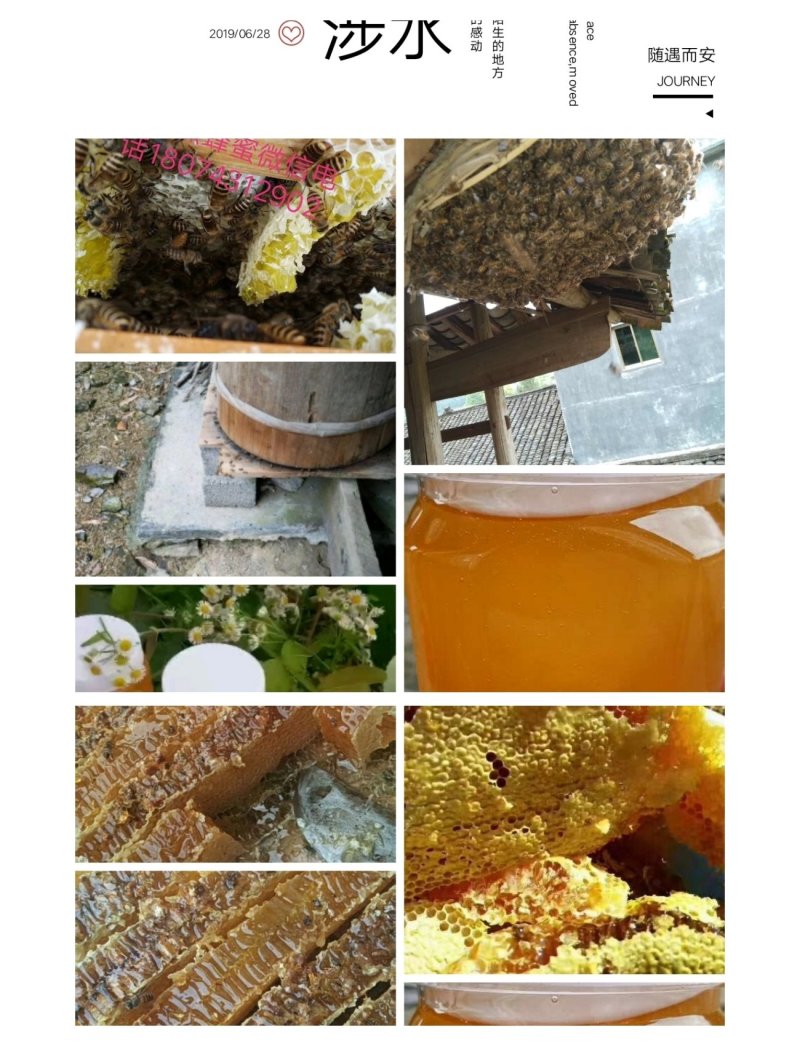 纯天然自产自销百花蜜土蜂蜜76一斤