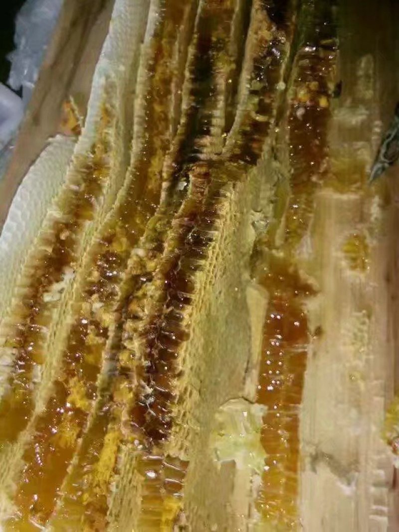 纯天然自产自销百花蜜土蜂蜜76一斤