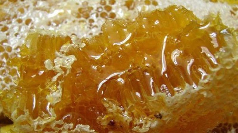 纯天然自产自销百花蜜土蜂蜜76一斤