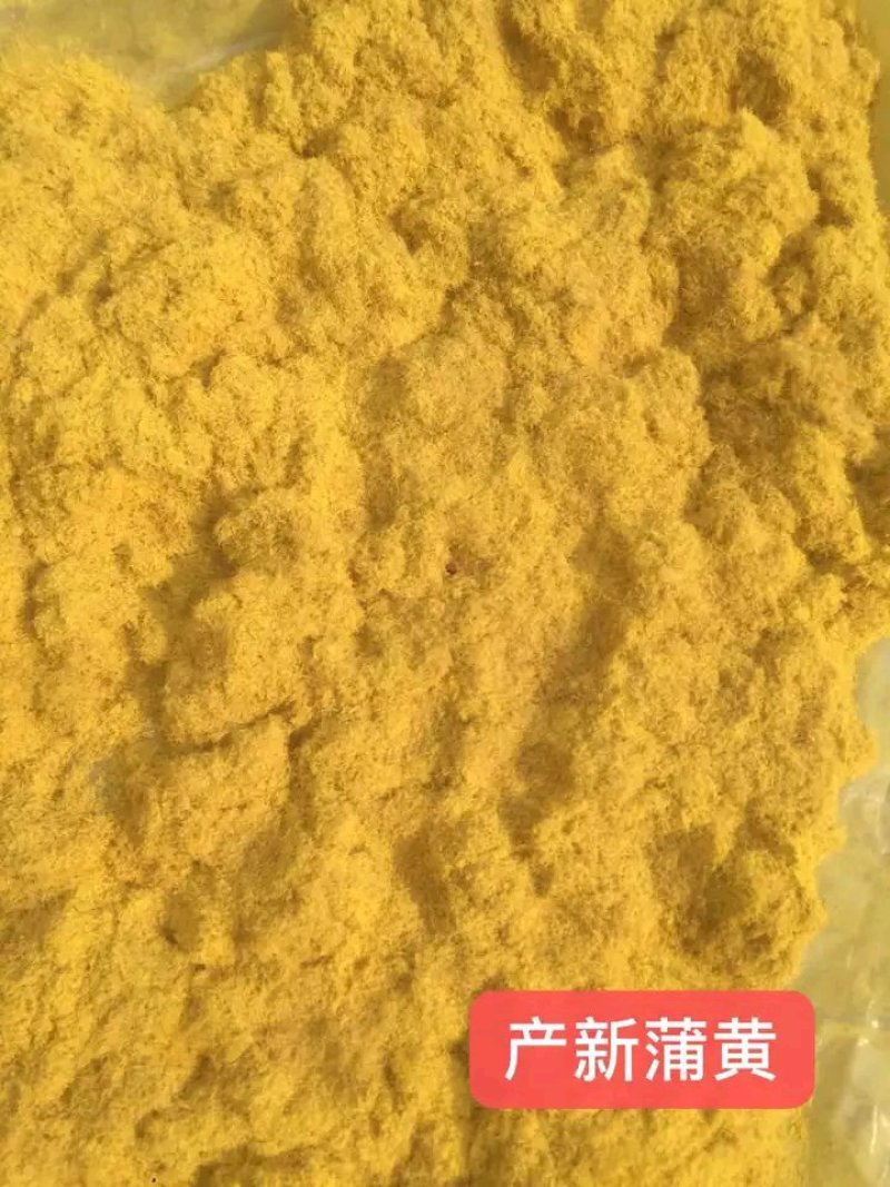 个子，粗粉细粉内蒙蒲黄，产地直销品质保证。