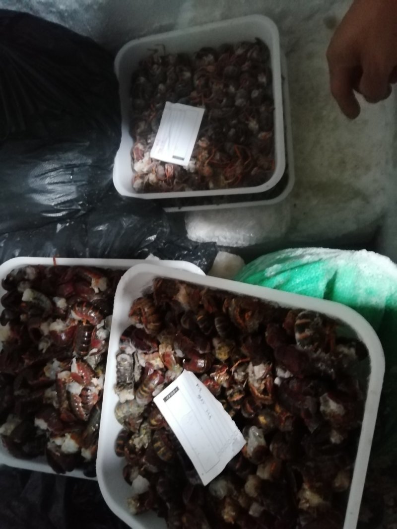 虾尾，食用，通货规格不分大小，40个～70个/斤，