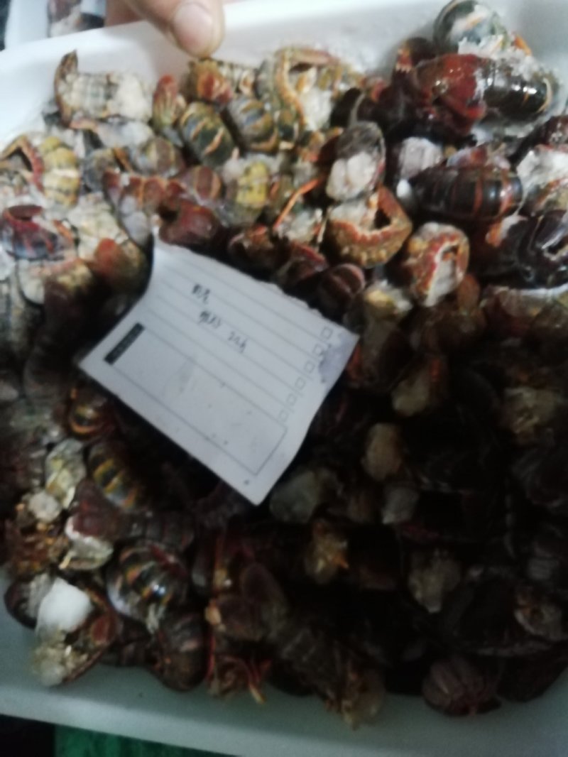 虾尾，食用，通货规格不分大小，40个～70个/斤，
