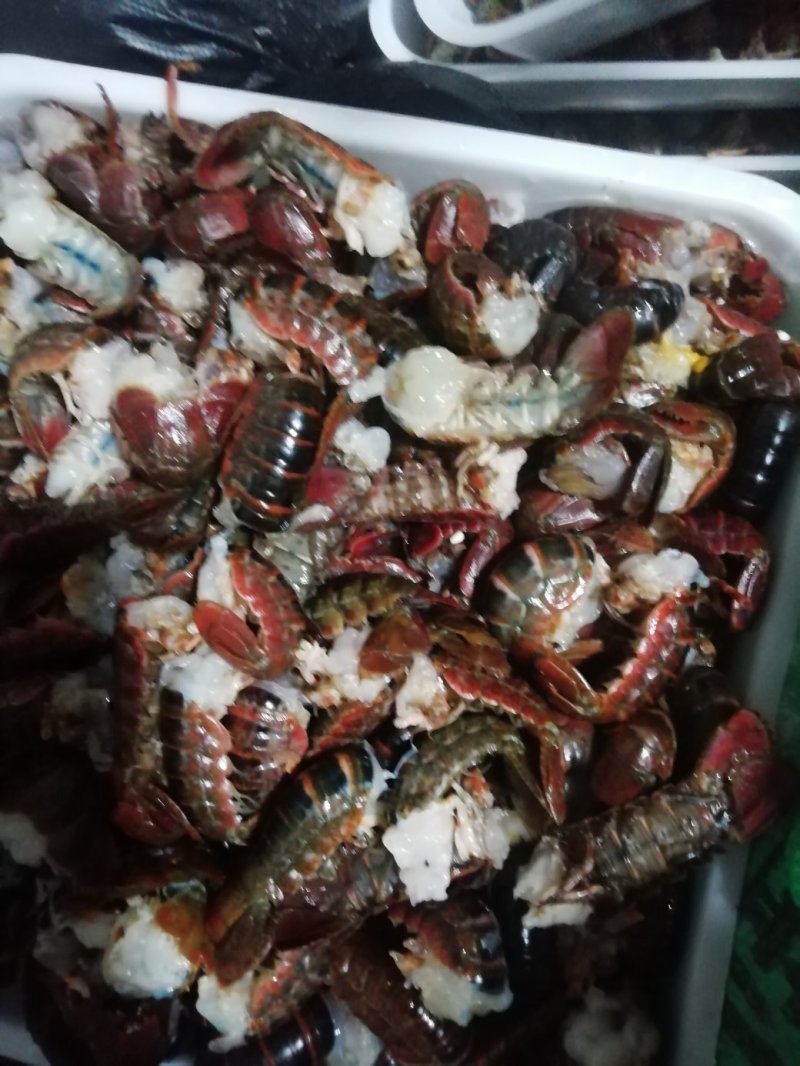 虾尾，食用，通货规格不分大小，40个～70个/斤，