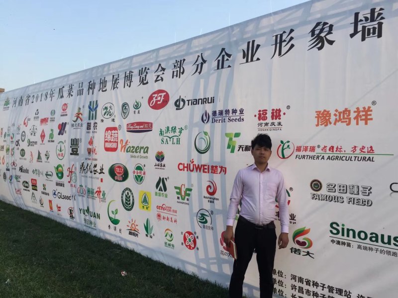 薄皮线椒种子，二荆条辣椒种子