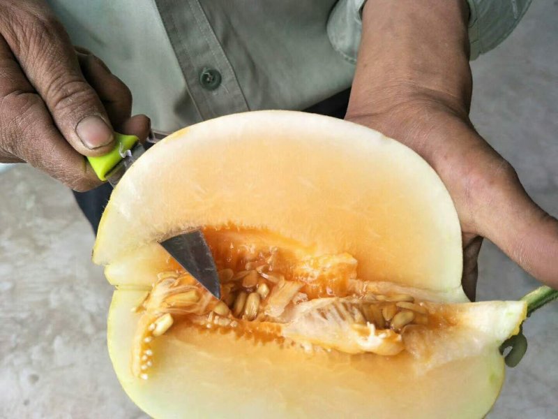 金红宝
