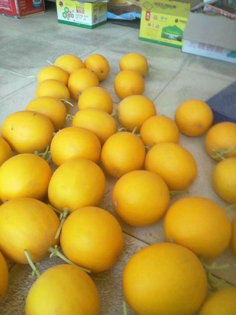 金红宝
