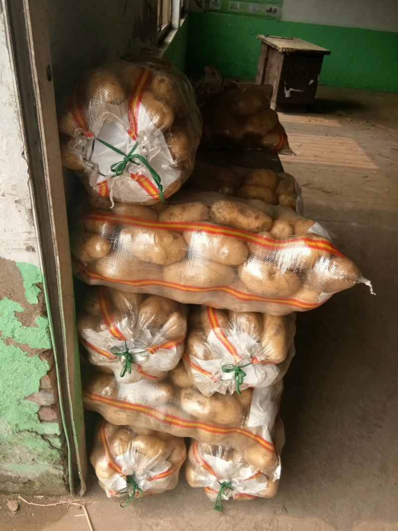 优质荷兰土豆