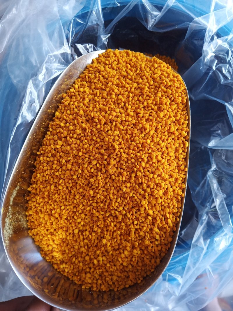 荷花粉2024新货上市新鲜荷花粉大量供货江西广昌蜂场直发