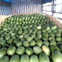 ，三斤半起步，宁安市小凤西瓜，菠萝蜜大量上市，全国发货