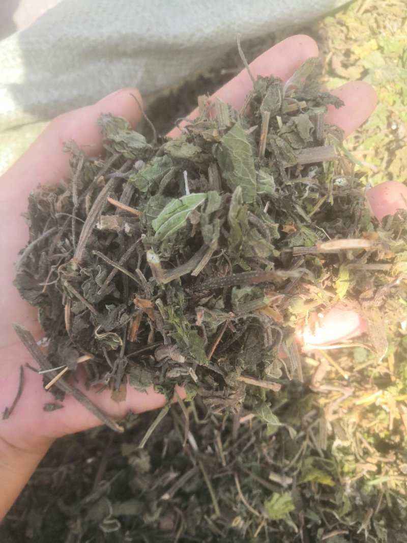 律草安徽一公斤/袋