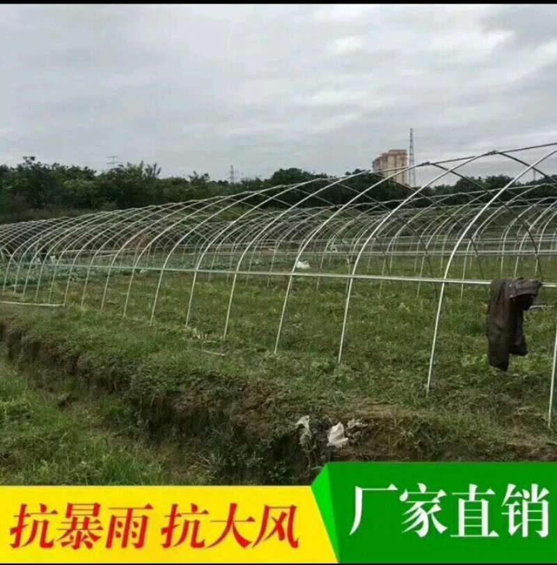钢管大棚种植大棚养殖大棚草莓大棚蔬菜大棚花卉大
