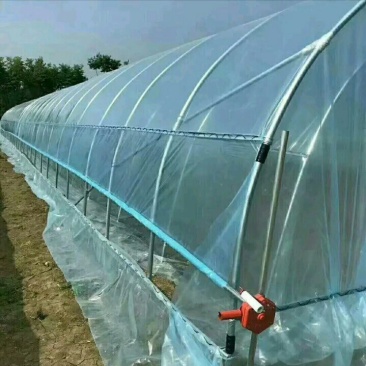 大棚种植大棚养殖大棚花卉大棚草莓大棚蔬菜大棚