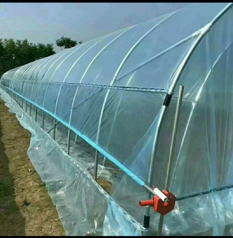 大棚种植大棚养殖大棚花卉大棚草莓大棚蔬菜大棚