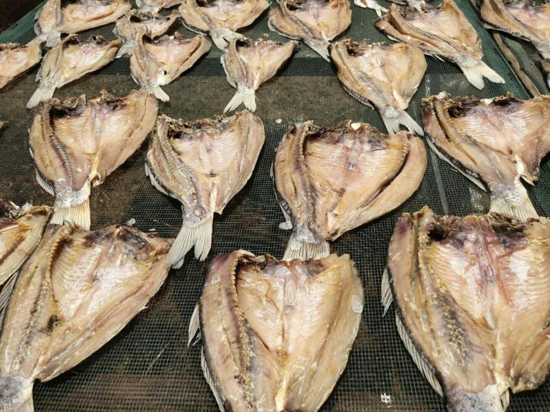 鲤鱼干鲤鱼块咸鱼干腊鱼大量供应
