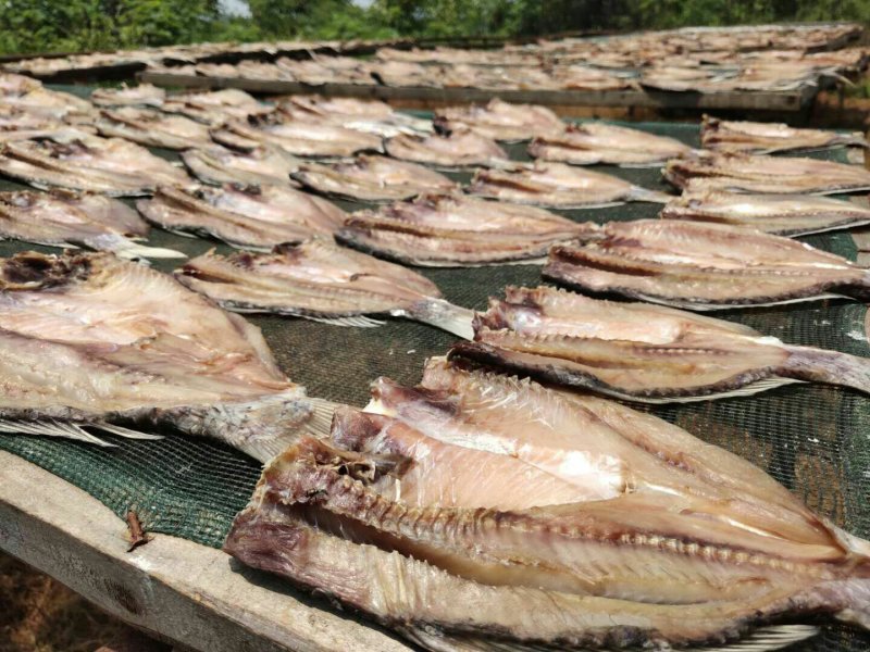 鲤鱼干鲤鱼块咸鱼干腊鱼大量供应