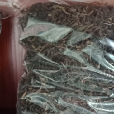 普洱无量山古树茶