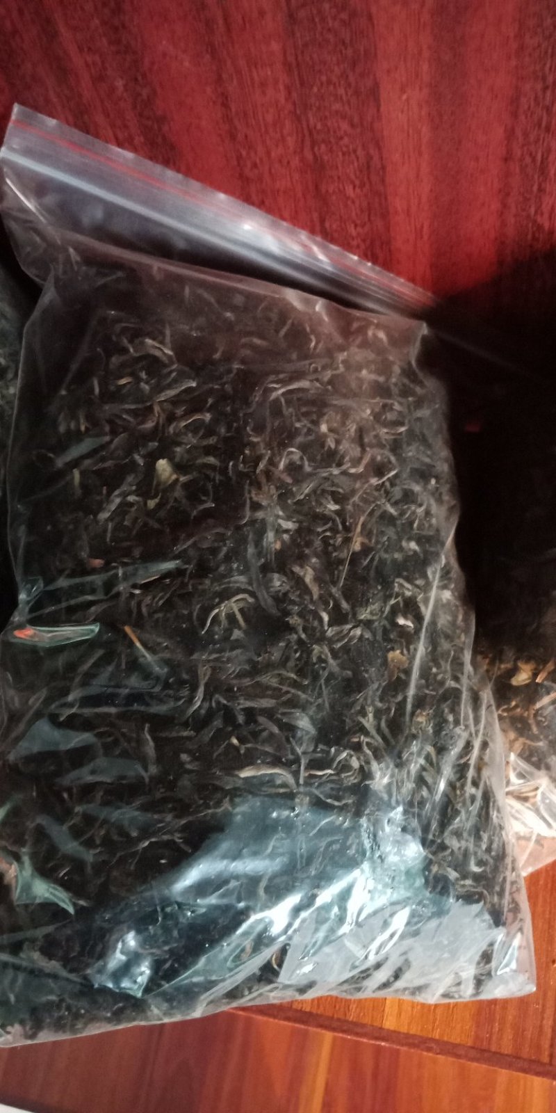 普洱无量山古树茶