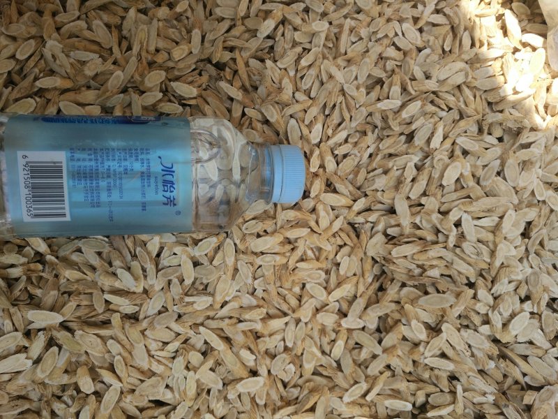 黄芪片高品质无硫中药材泡茶煲粥长期供货零售批发