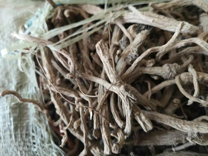 振兴药材批发供应板蓝根个规格齐全产地直供一手货源全国发货