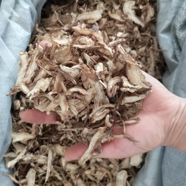 振兴药材批发供应无硫当归产地直供一手货源全国发货
