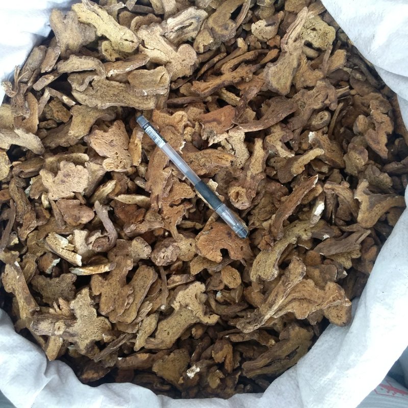 振兴药材批发供应炒白术规格齐全产地直供一手货源全国发货