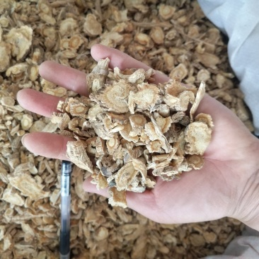振兴药材批发供应防风规格齐全产地直供一手货源全国发货