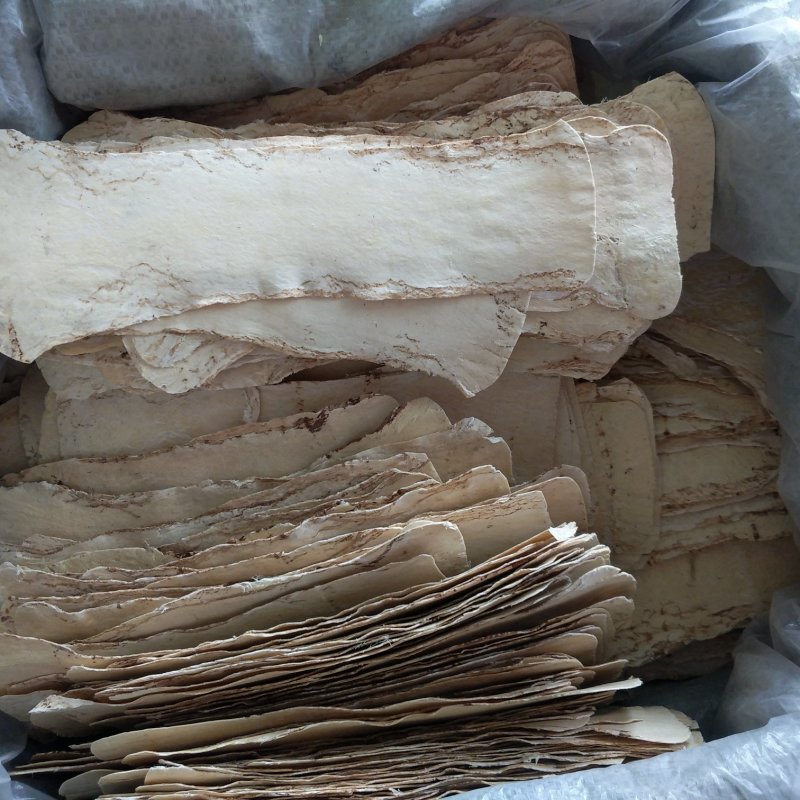 振兴药材批发供应大压片黄芪规格齐全产地直供一手货源全国发货