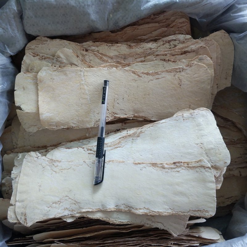 振兴药材批发供应大压片黄芪规格齐全产地直供一手货源全国发货