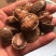 观赏龟虎纹巨头剃刀麝香果核龟