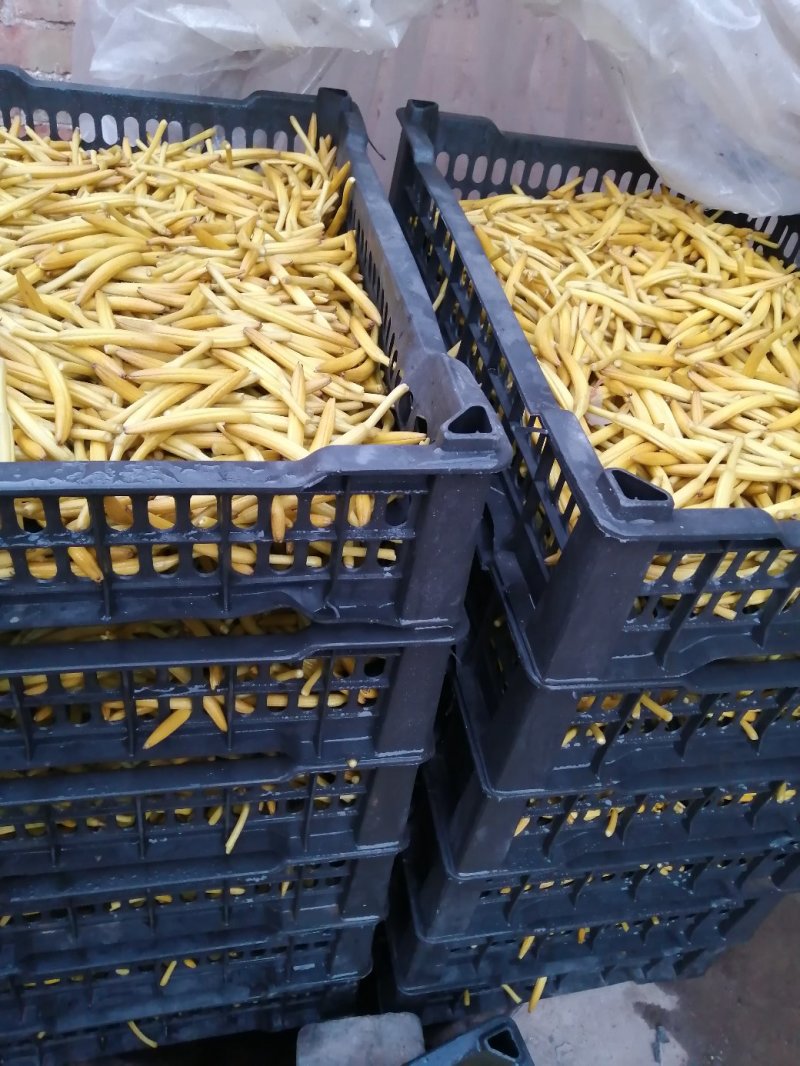 大荔农家自制传统锅蒸无硫干黄花菜