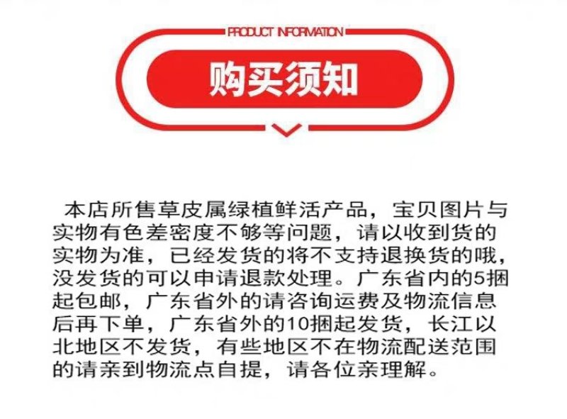 万草园草坪深圳草皮批发惠州草皮广东台湾草深圳草皮