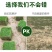 万草园草坪深圳草皮批发惠州草皮广东台湾草深圳草皮