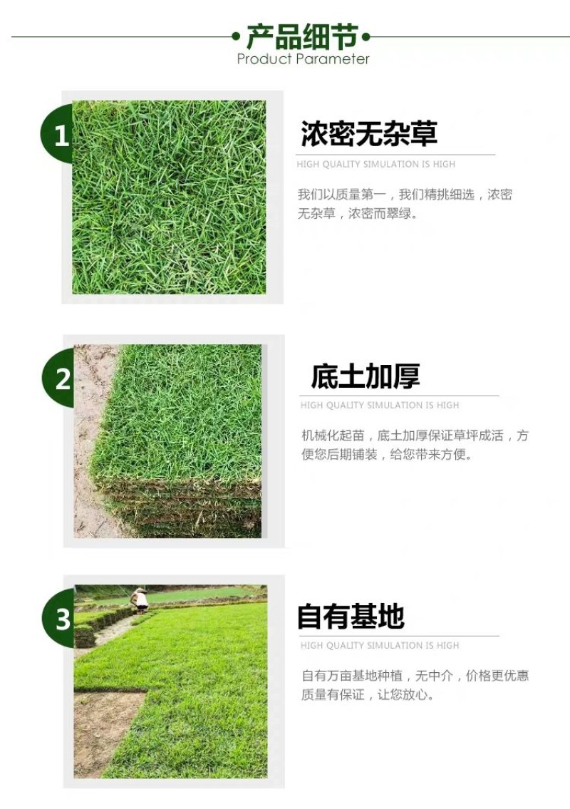万草园草坪深圳草皮批发惠州草皮广东台湾草深圳草皮