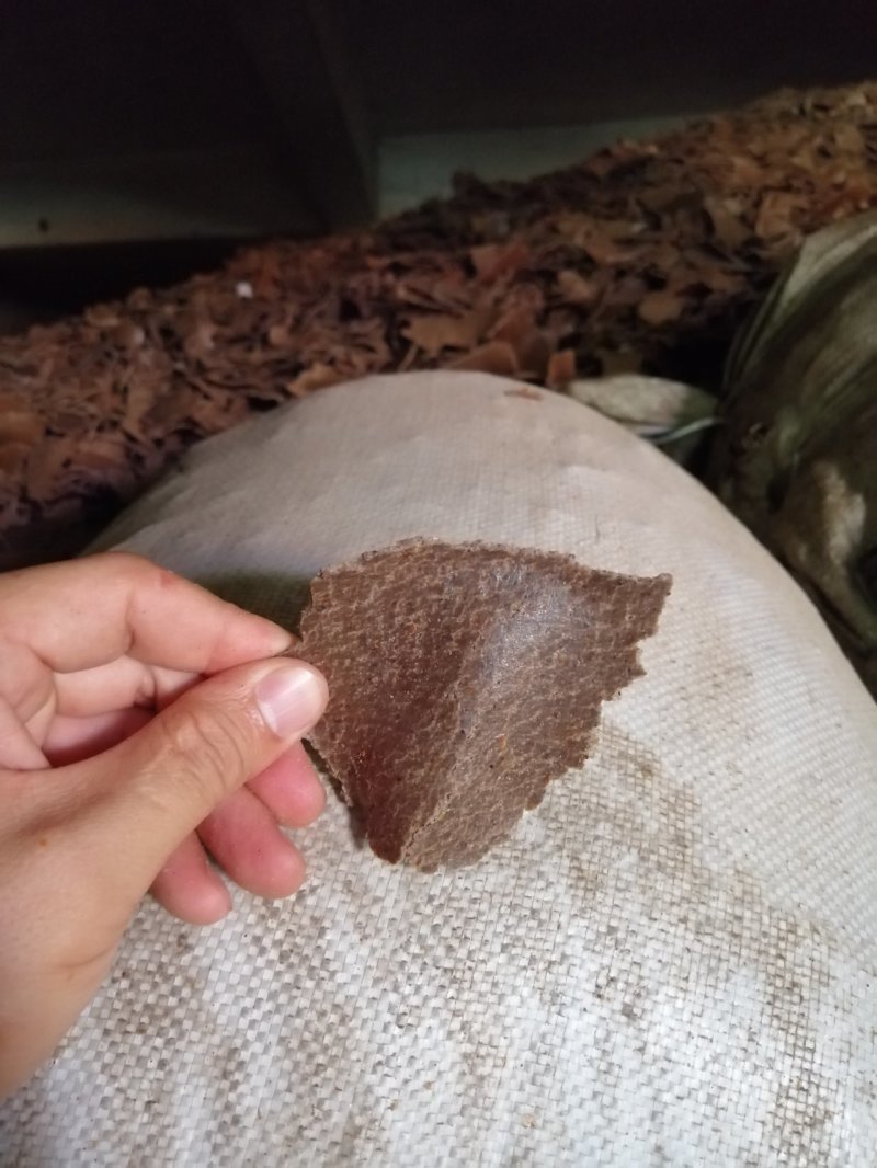 花生饼，颜色厚度如图，纯仁冷榨，