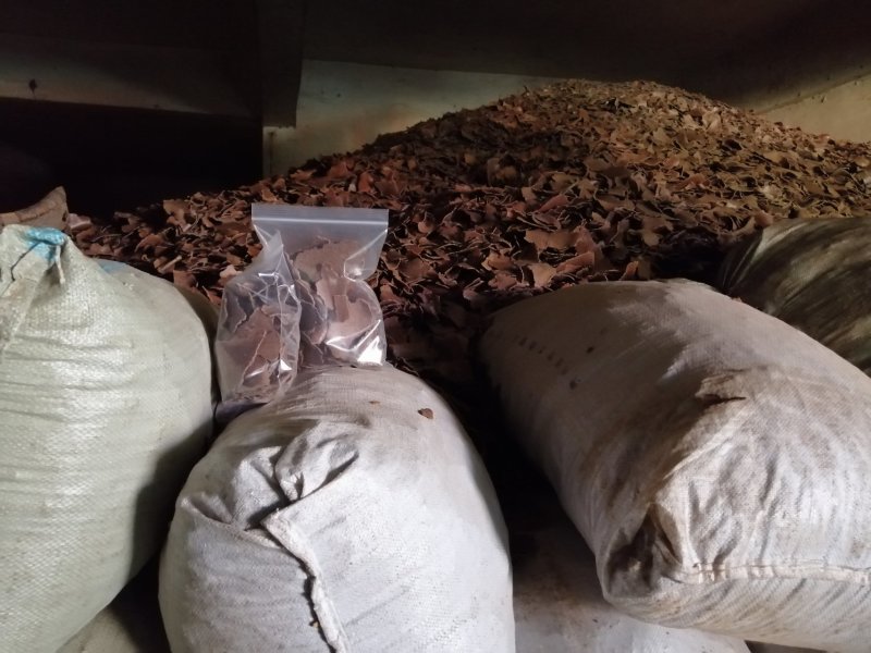 花生饼，颜色厚度如图，纯仁冷榨，