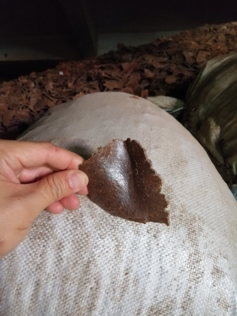 花生饼，颜色厚度如图，纯仁冷榨，