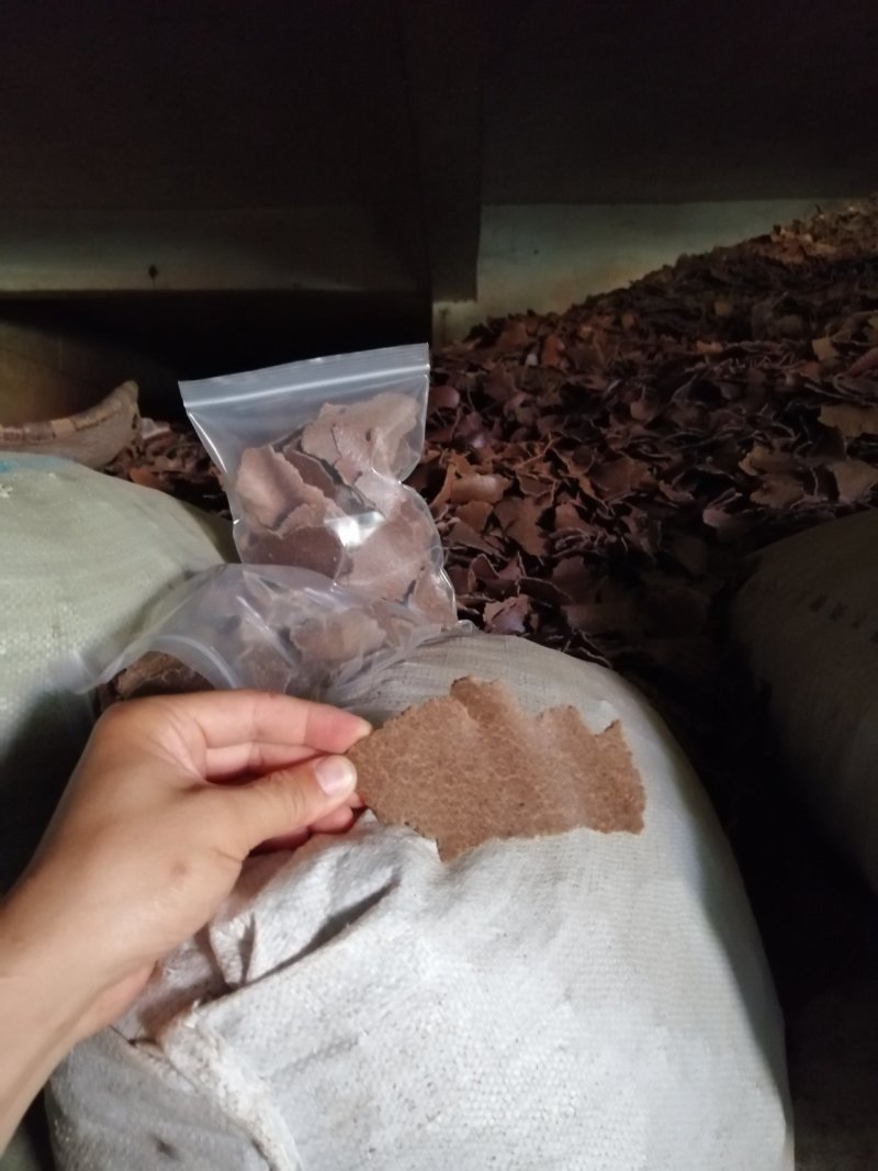 花生饼，颜色厚度如图，纯仁冷榨，