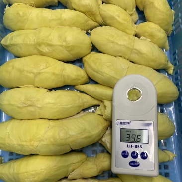 泰国东部金枕头速冻榴莲肉