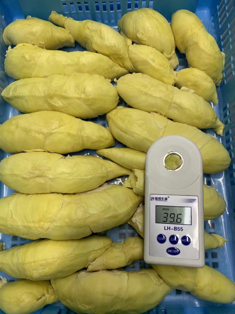 泰国东部金枕头速冻榴莲肉