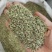 小茴香香料批发一手货源
