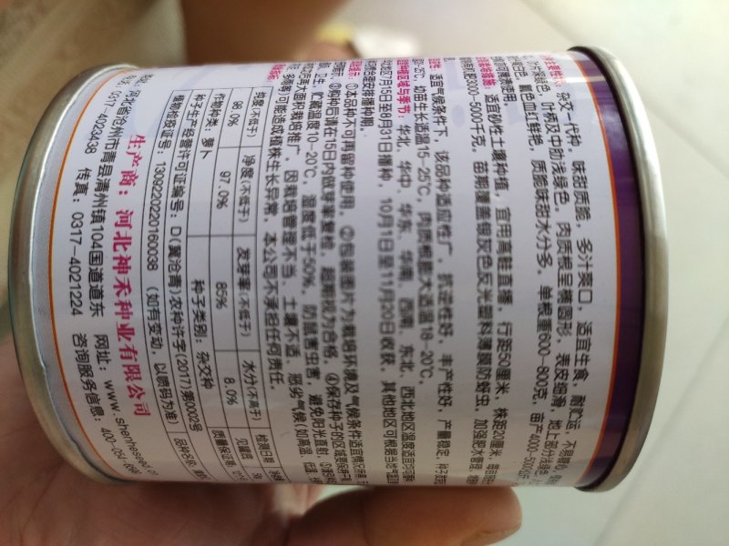 满堂红萝卜种子，心里美萝卜种子秋季种植红心萝卜种子