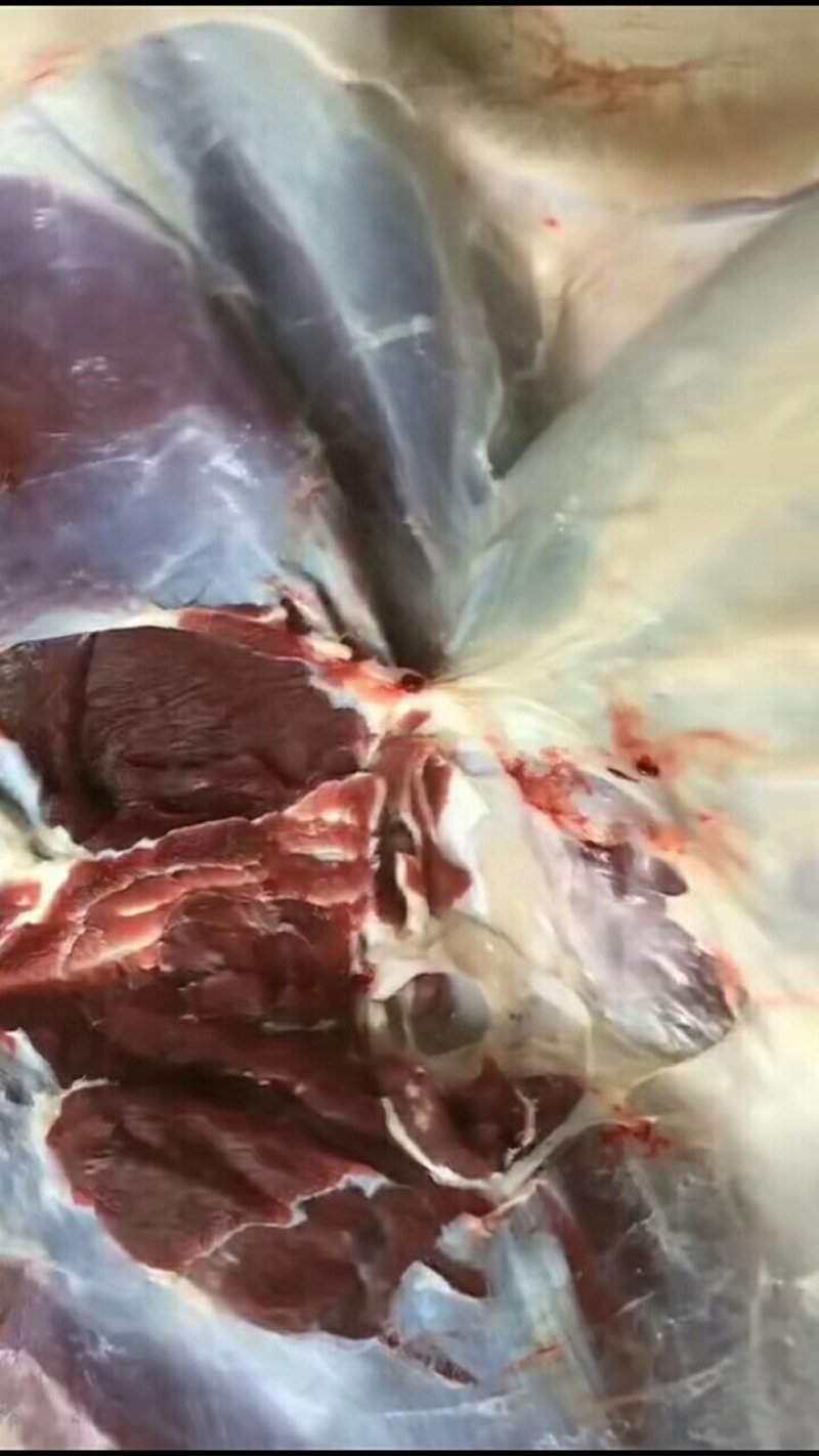 鹿肉
