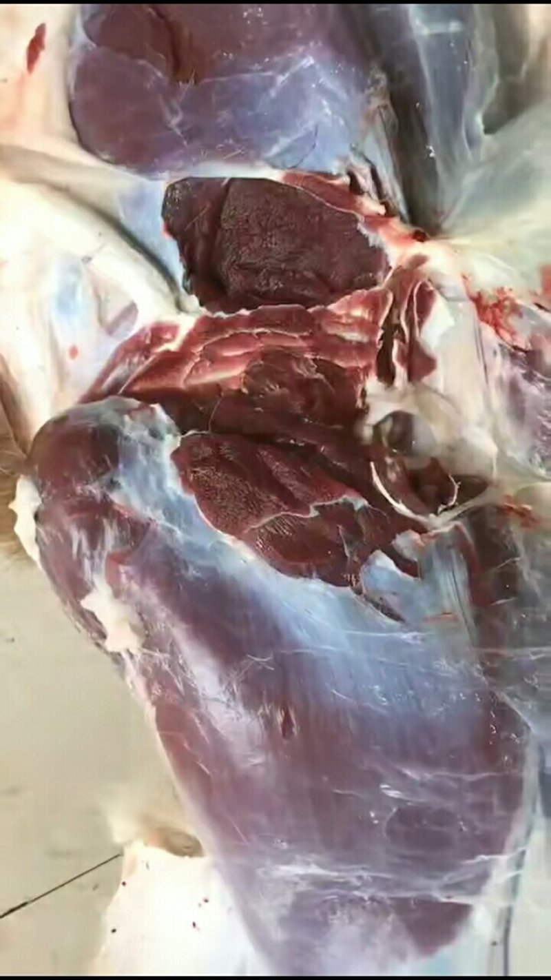 鹿肉