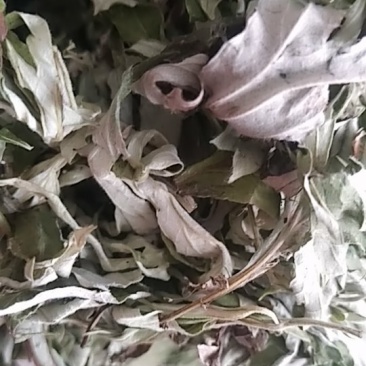 纯野生艾叶，机压机，散装都有。电商直供，需要可电话联系