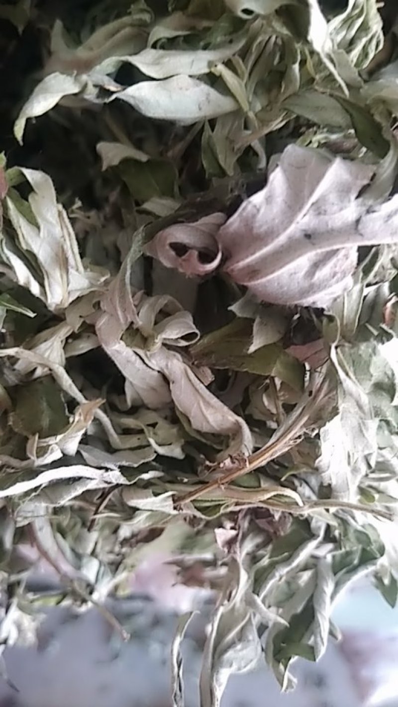 纯野生艾叶，机压机，散装都有。电商直供，需要可电话联系