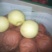 黄金梨一手货量充足，保质保量，量大便宜，欢迎砸单
