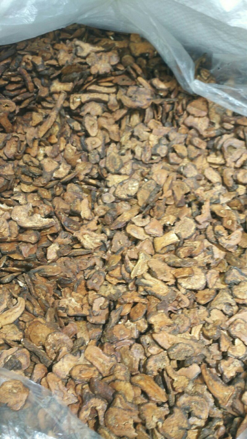 蒲公英根茶片段品质保证