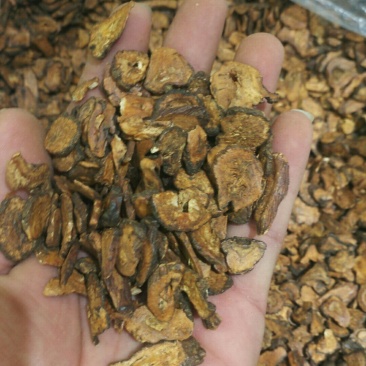 蒲公英根茶片段品质保证