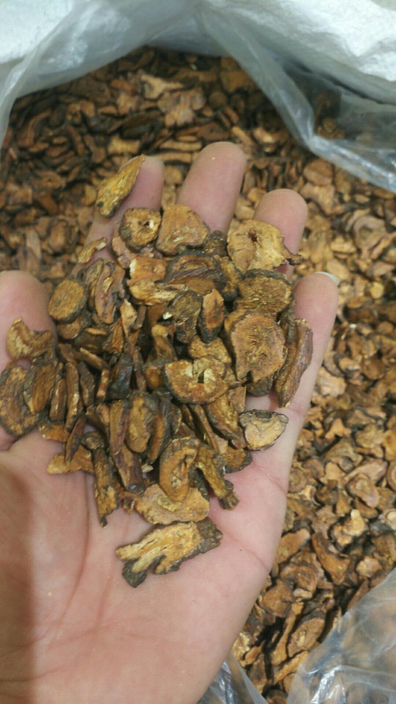 蒲公英根茶片段品质保证