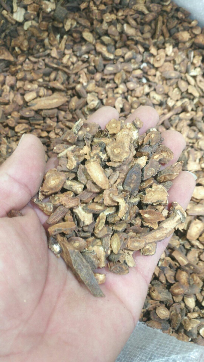 蒲公英根茶片段品质保证